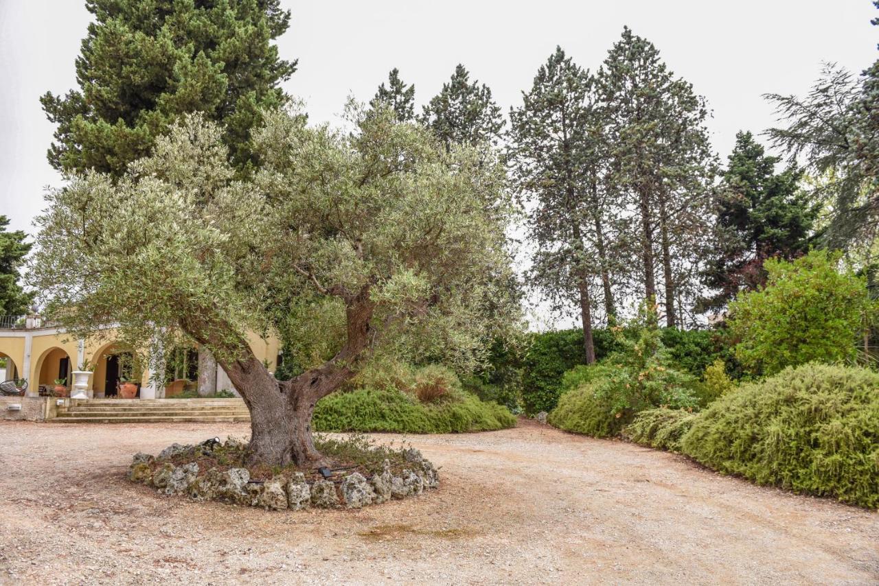 Villa Luciana Μαρτίνα Φράνκα Εξωτερικό φωτογραφία